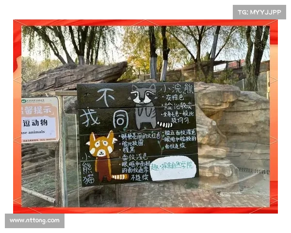 熊猫君探险记:萌趣无限的世界奇旅 熊猫君探险记:萌趣无限的世界奇旅